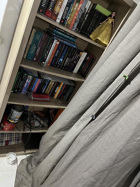 25 - One of my book shelfs