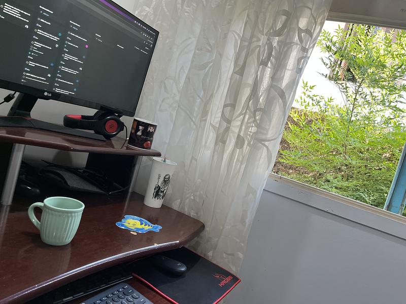 7 - Homeoffice day