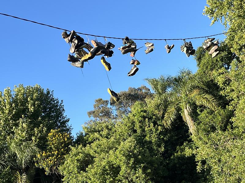 8 - Park near my home